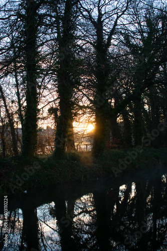 Foggy Sunrise at Irish Canal