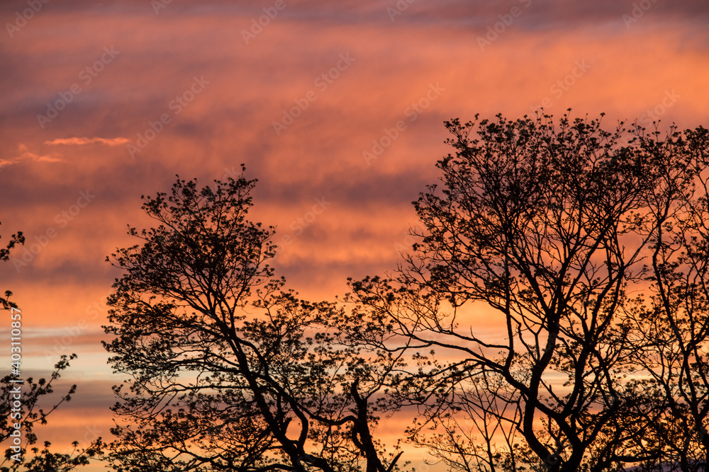 Sunset orange red sky with clouds background