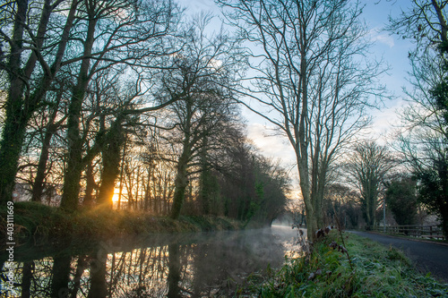 Foggy Sunrise at Irish Canal