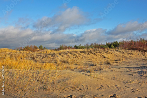 Dunes on the Baltic coast