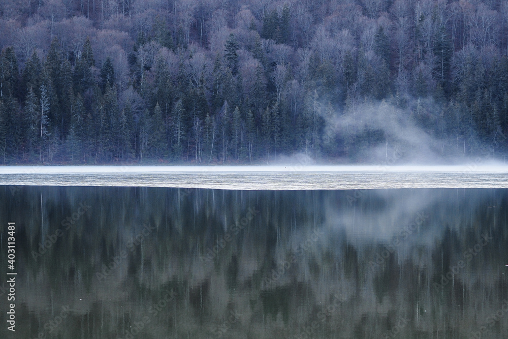 Fototapeta premium OLYMPUS DIGITAL CAMERA