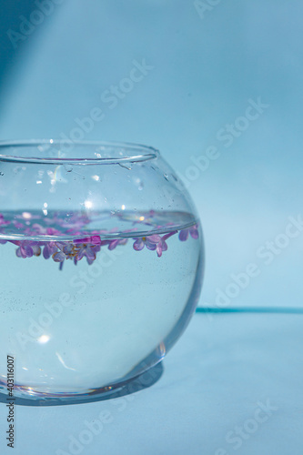 Lilac flowers float in the water. Purple and pink flowers in a glass vase. On a blue background
