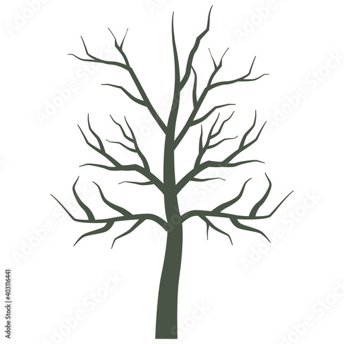 dry tree plant isolated icon