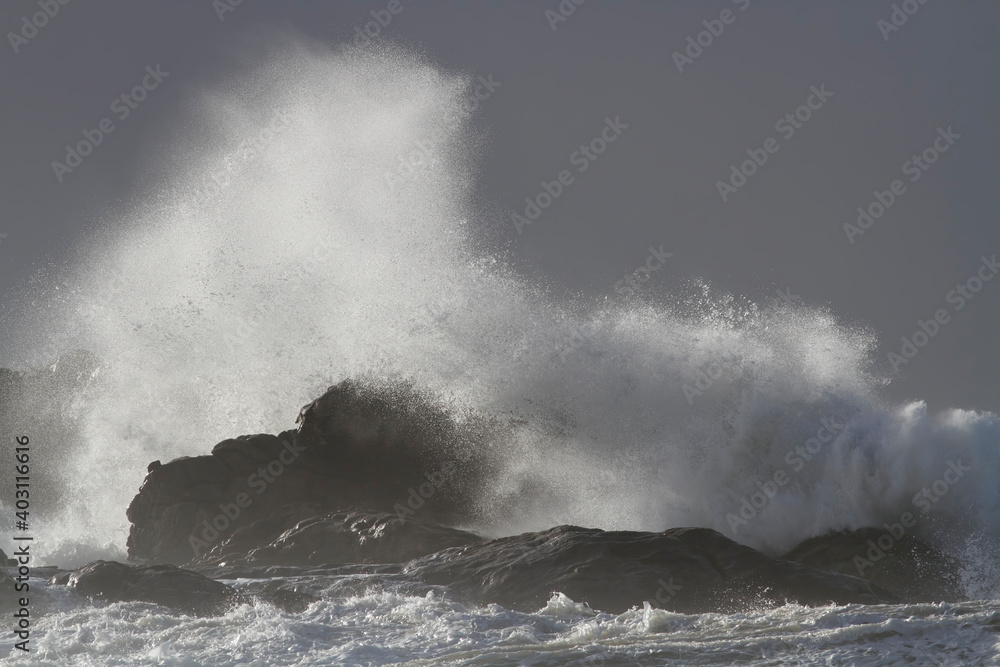 Fototapeta premium Storm on the coast