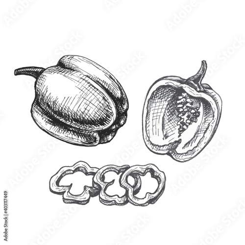 Whole half and slice sweet red bell peppers. Vector vintage hatching gray illustration.