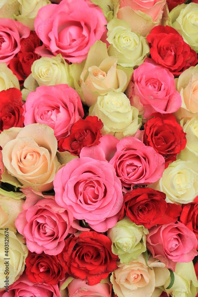 pink mixed wedding roses pink mixed wedding roses