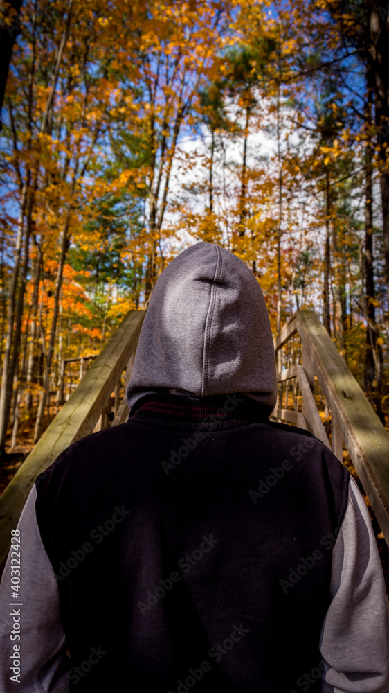 A man looking up at the autumn trees. A man looking up at the autumn trees.