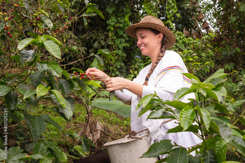 mujer campesina con sombrero cogiendo la cosecha de café maduro