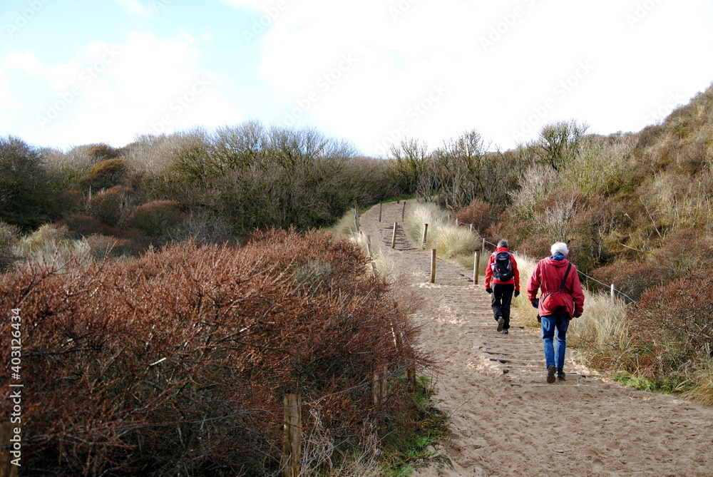 People walking over the last dune to the beach near Castricum, North Holland, The Netherlands (Noord-Hollands Duinreservaat) People walking over the last dune to the beach near Castricum, North Holland, The Netherlands (Noord-Hollands Duinreservaat)