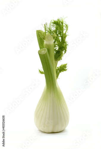 Fennel Bulb. Fresh fennel bulb with leaves on white background.