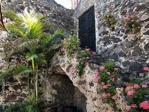 flowers on the wall