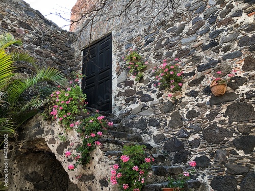 house with flowers