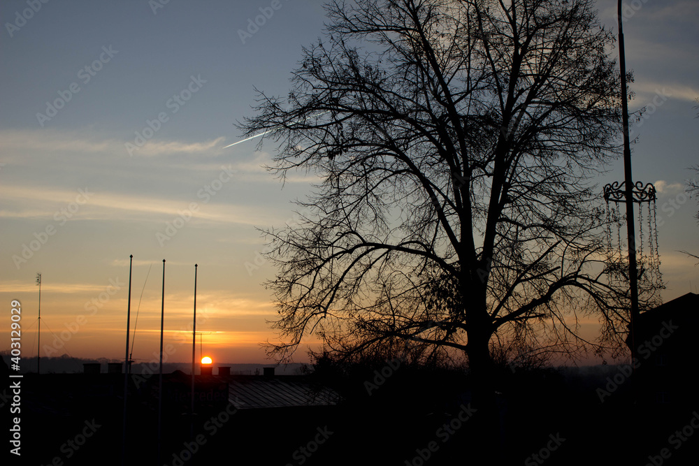 Scenery. Sunset on the background of trees and the city. Background.