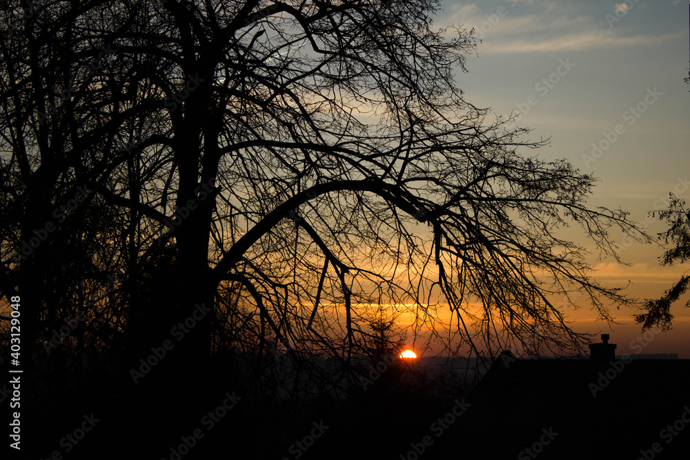 Scenery. Sunset on the background of trees and the city. Background.