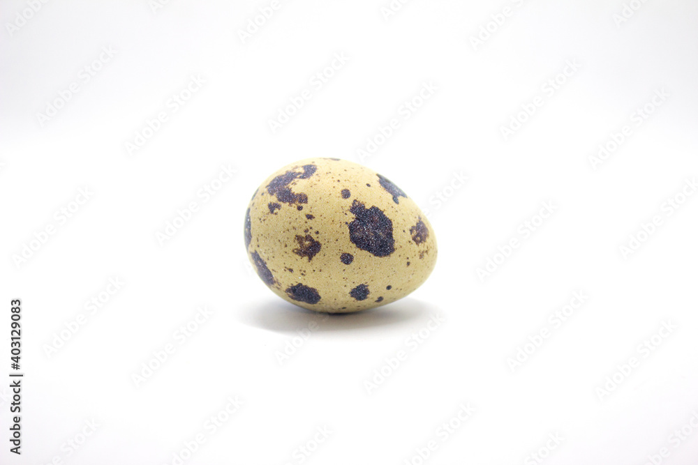 Quail egg on a white background.Quail egg isolate. The Easter egg lies horizontally on a white background