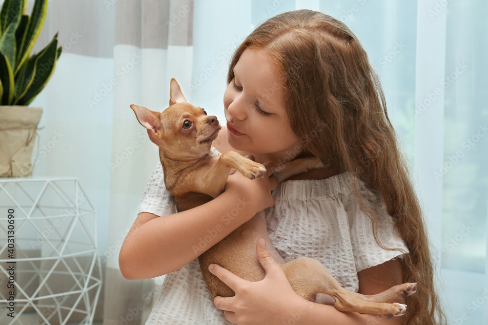 Cute little child with her Chihuahua dog at home. Adorable pet Cute little child with her Chihuahua dog at home. Adorable pet