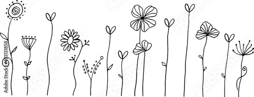 vector flowers design black and white background wallpaper
