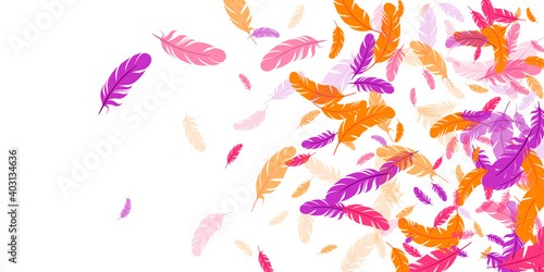 Orange purple pink red feather floating background