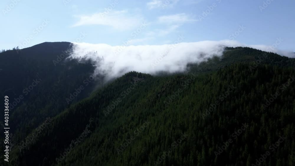 Advection fog slowly creeps over an evergreen covered mountain slope, aerial orbit Advection fog slowly creeps over an evergreen covered mountain slope, aerial orbit