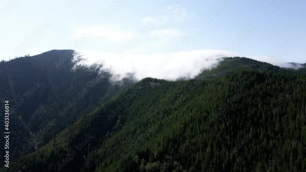 Advection fog slowly purs over the top of a forest covered ridge, aerial dolly Advection fog slowly purs over the top of a forest covered ridge, aerial dolly