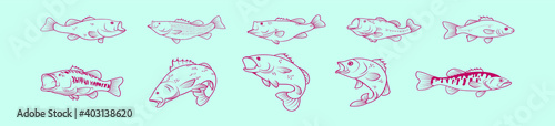 set of bass fish cartoon icon design templates with various models. vector illustration isolated on blue background