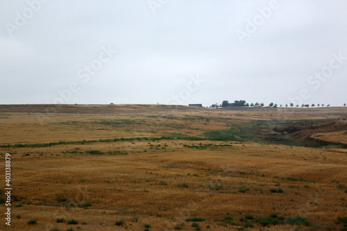 Bild auf Leinwand Prairie