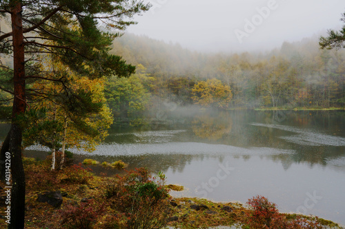 霧にかすむ山の中の紅葉した秋の池