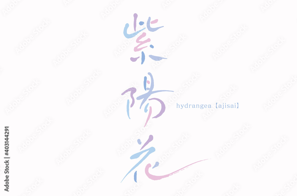 Fototapeta premium 紫陽花(ajisai) 筆文字 七変化