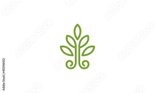 Creative Vector Illustration Logo Design. Growth Plant Leaf Leaves Concept.