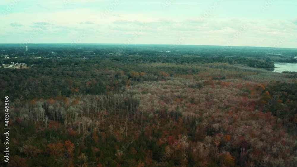 Aerial shot of rural woodlands in the countryside with a lake in the distance Aerial shot of rural woodlands in the countryside with a lake in the distance
