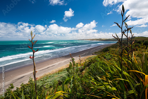 Panorama of Ngarunui beach, perfect surfing spot in Raglan, Waikato, New Zealand photo