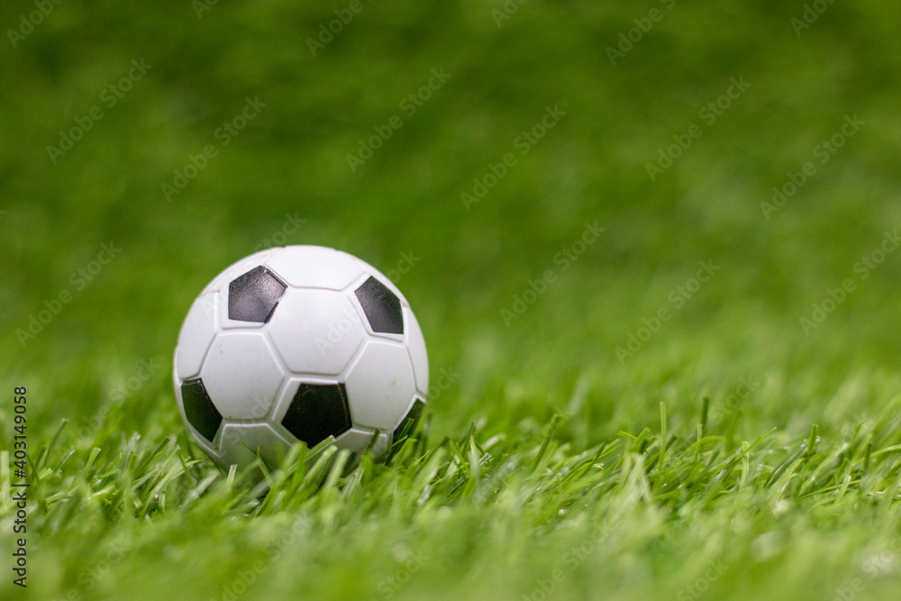 Soccer ball is on green grass