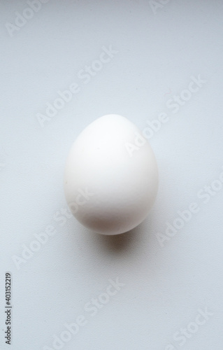 White egg on a white background