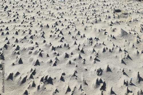 海岸の砂柱 砂の造形