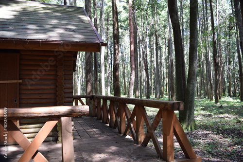 Cuadro en lienzo ログハウス 森林内