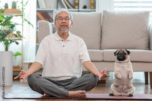 Fototapeta Naklejka Na Ścianę i Meble -  Asian elderly senoir man doing yoga with dog pug breed in living room at home,Happy Retired at home concept