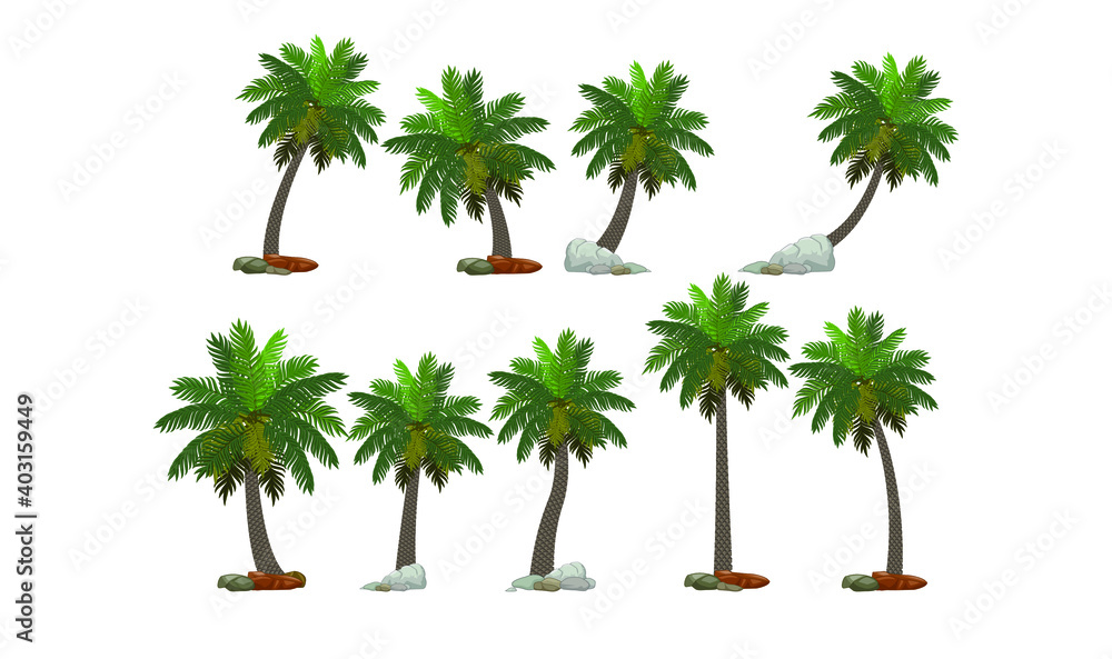 Fototapeta premium trees and palms