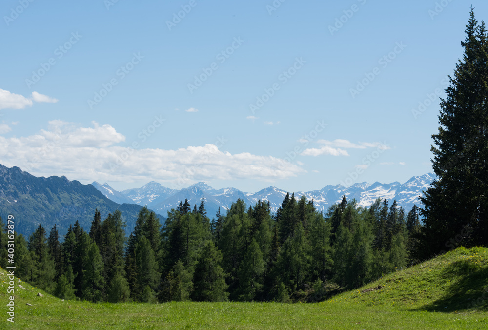 green meadow and trees with high mountains in the background green meadow and trees with high mountains in the background