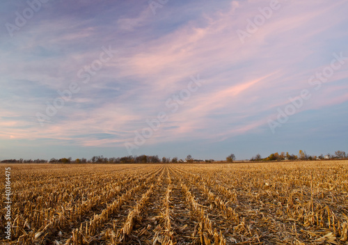 555-65 Corn Stubble on Farm