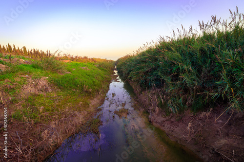A stream of rainwater on the way to a sewage treatment plant, Israel