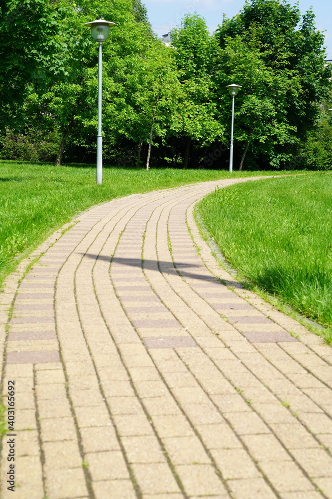 Walkway in the summer city park.