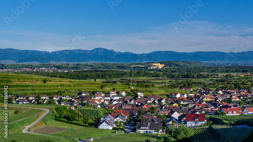 Weinberge bei Ihringen  Kaiserstuhl  Baden-W  rttemberg  Deutschland