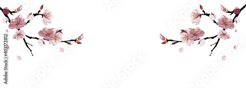 A branch of pink peach blossom banner on white back ground. vector illustration.