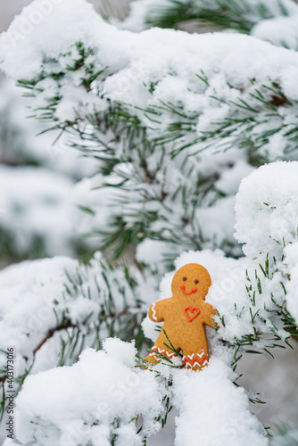 happy gingerbread man on the branch photo