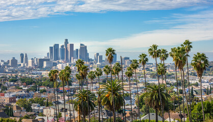 Cloudy day of Los Angeles downtown skyline and palm trees in foreground