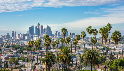 Cloudy day of Los Angeles downtown skyline and palm trees in foreground