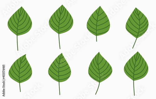 Vector set of one line drawing abstract leaf. Hand drawn modern minimalistic design for creative logo  icon or emblem
