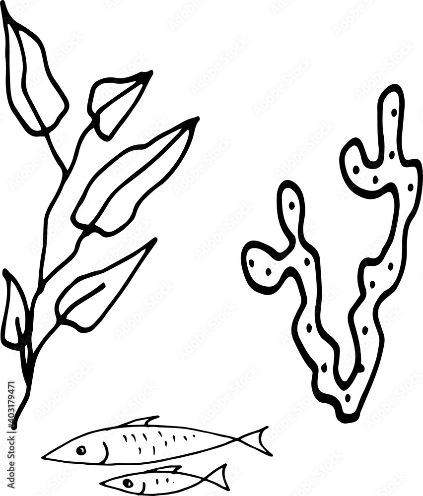 Fototapeta premium Sea food, fish, shellfish, crabs, delicacies. Graphic illustration hand-drawn, doodle, sketch, engraving. Print, textiles, paper.