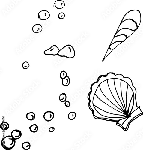 
Sea food, fish, shellfish, crabs, delicacies. Graphic illustration hand-drawn, doodle, sketch, engraving. Print, textiles, paper.