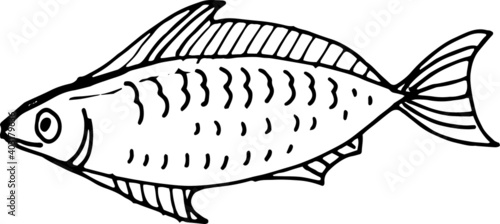 
Sea food, fish, shellfish, crabs, delicacies. Graphic illustration hand-drawn, doodle, sketch, engraving. Print, textiles, paper.